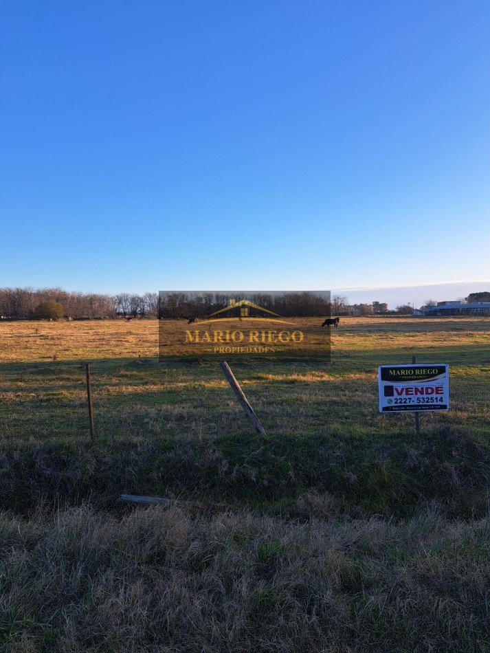 VENTA DE 3 HECTAREAS PARQUE INDUSTRIAL