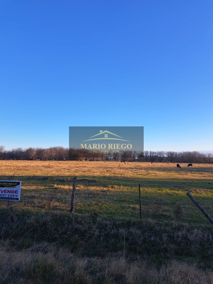 VENTA DE 3 HECTAREAS PARQUE INDUSTRIAL