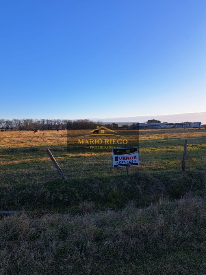 VENTA DE 3 HECTAREAS PARQUE INDUSTRIAL