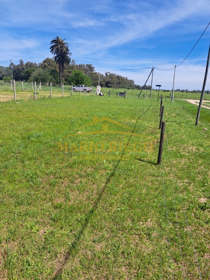 VENTA: Excelente Terreno en Esquina  Barrio Las Palmeras  (General Las Heras)
