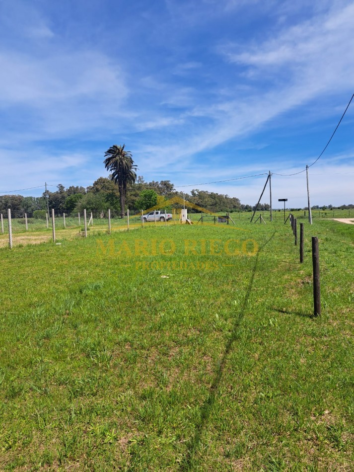 VENTA: Excelente Terreno en Esquina  Barrio Las Palmeras  (General Las Heras)