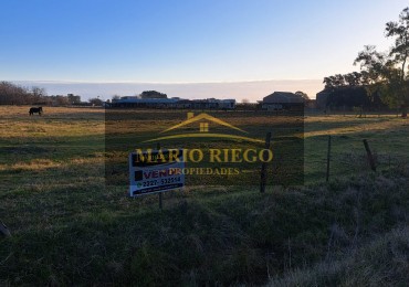 VENTA DE 3 HECTAREAS PARQUE INDUSTRIAL