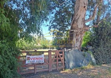 VENTA: Excelente y Amplio Terreno  (General Las Heras).